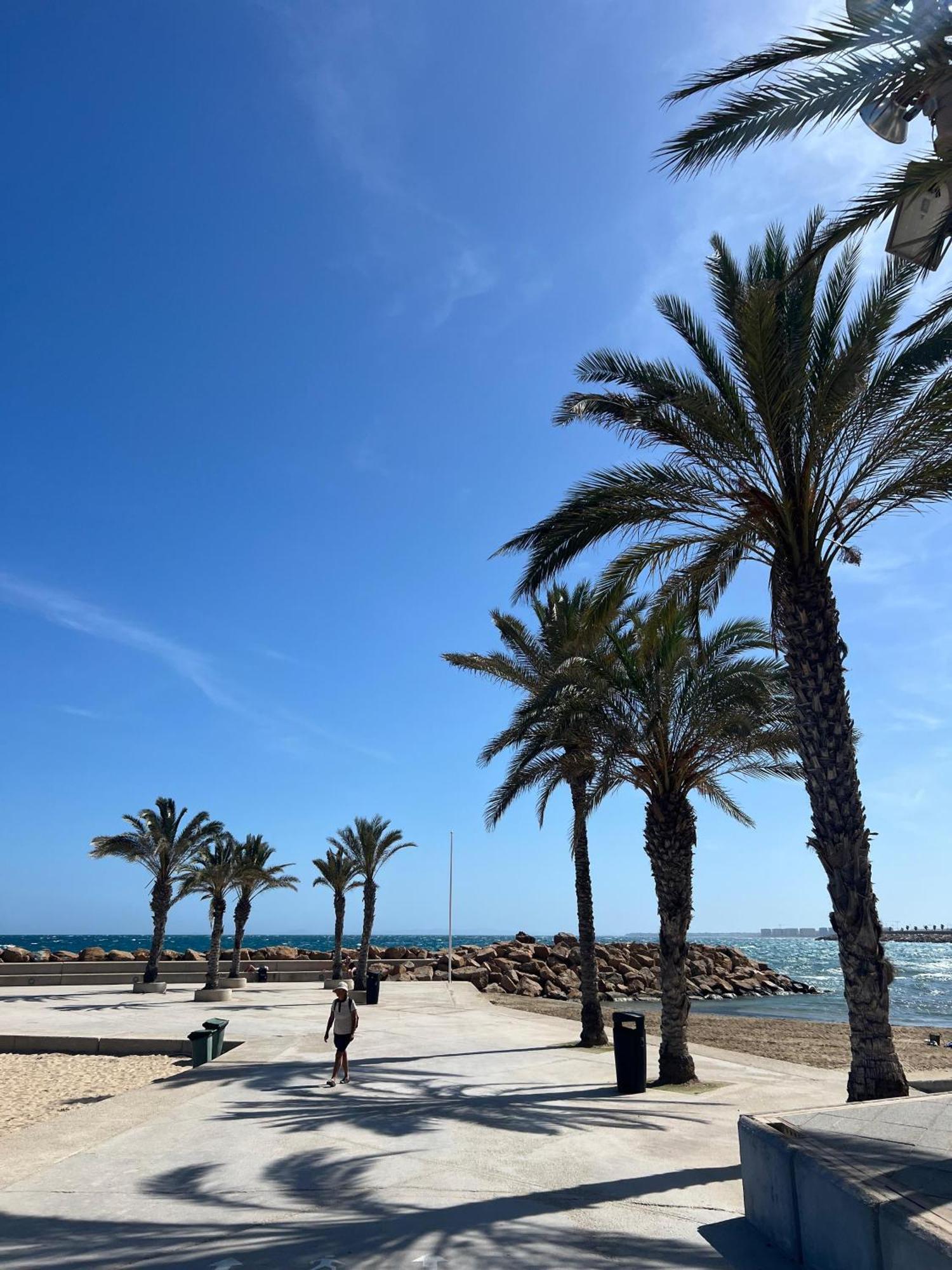 Appartement Torrevieja Alicante Exterior photo