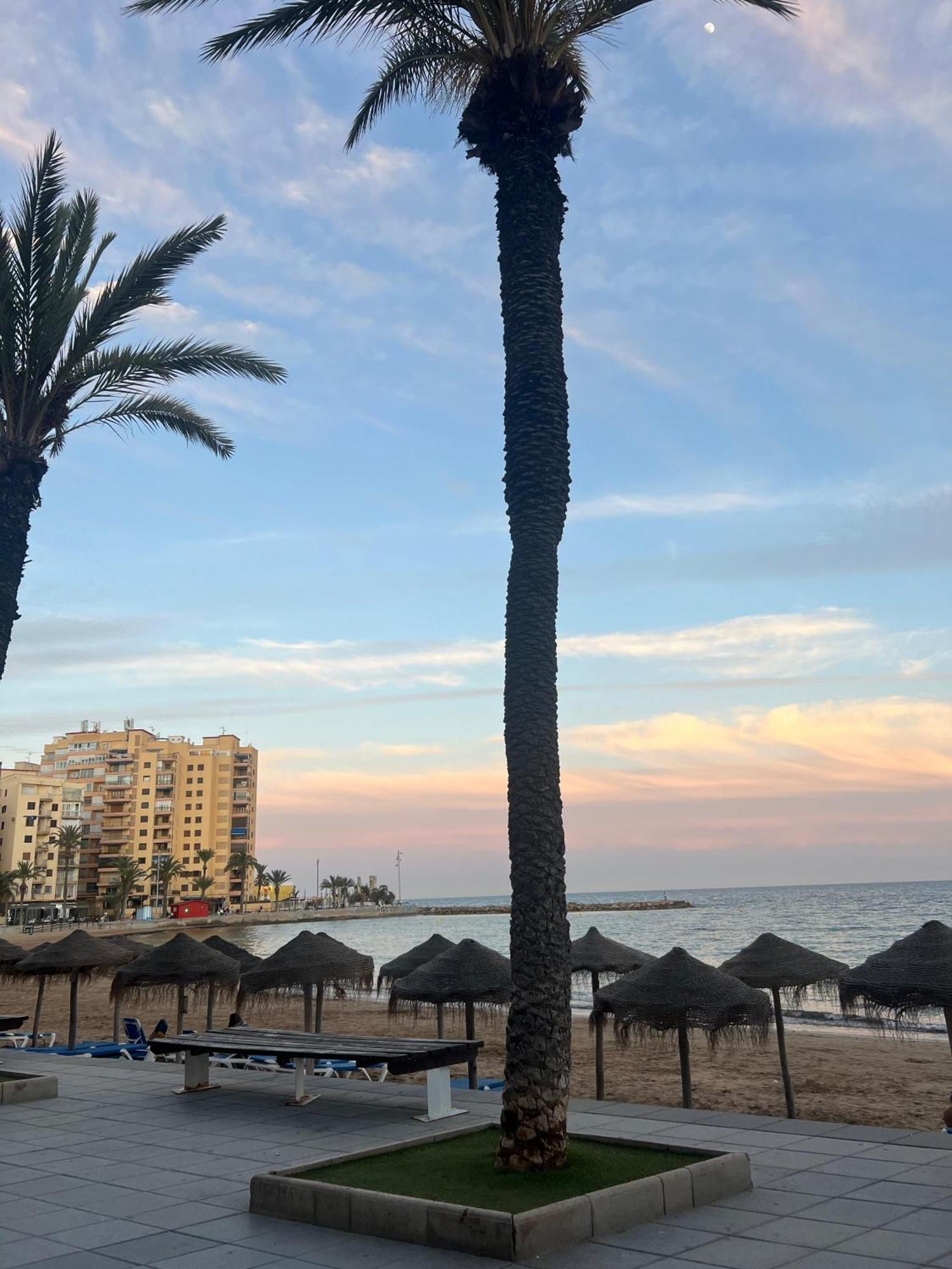 Appartement Torrevieja Alicante Exterior photo